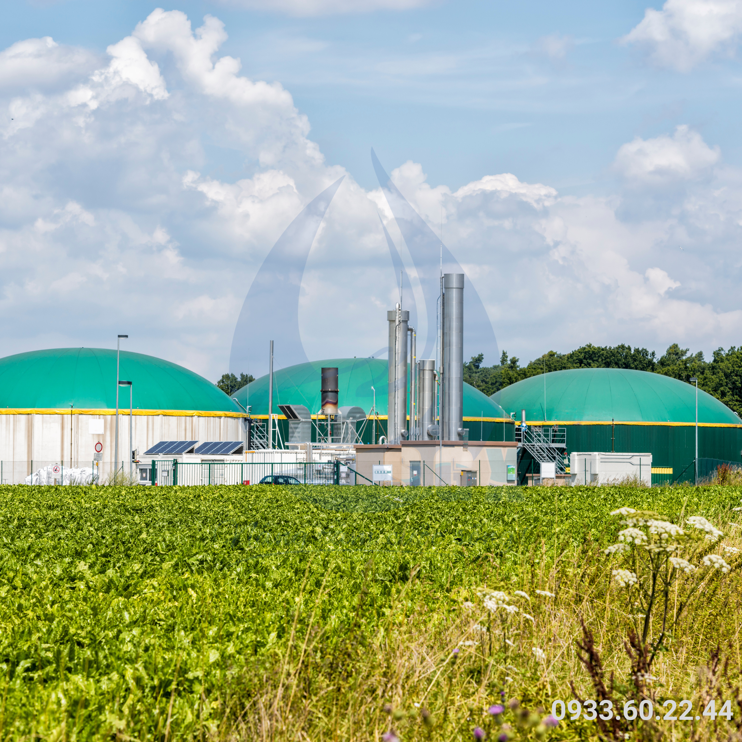 Năng Lượng Sinh Học Năng Lượng Sinh Học